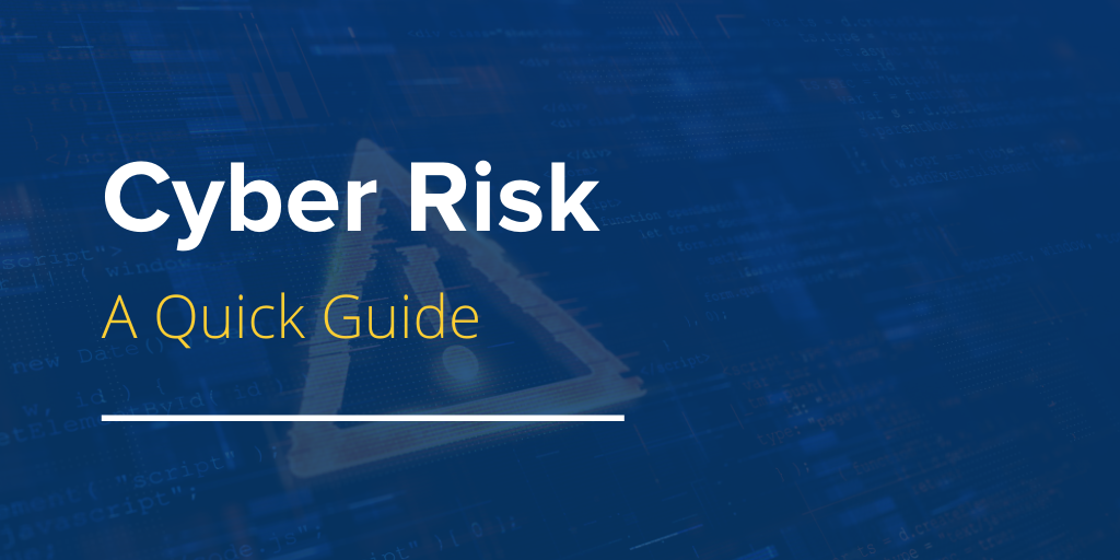 Cyber Risk: A Quick Guide